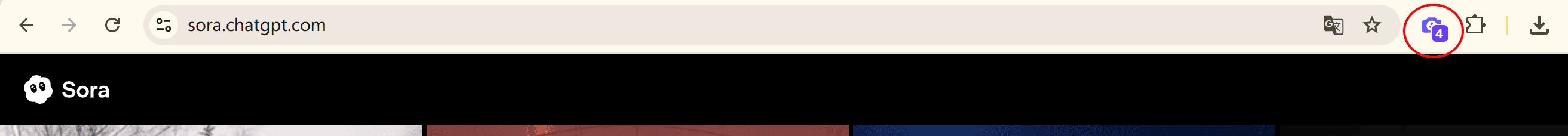 1760018383930.jpg