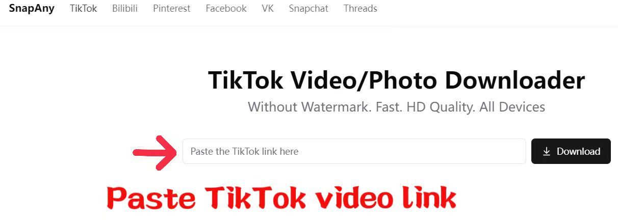 TikTok Video and Photo Downloader