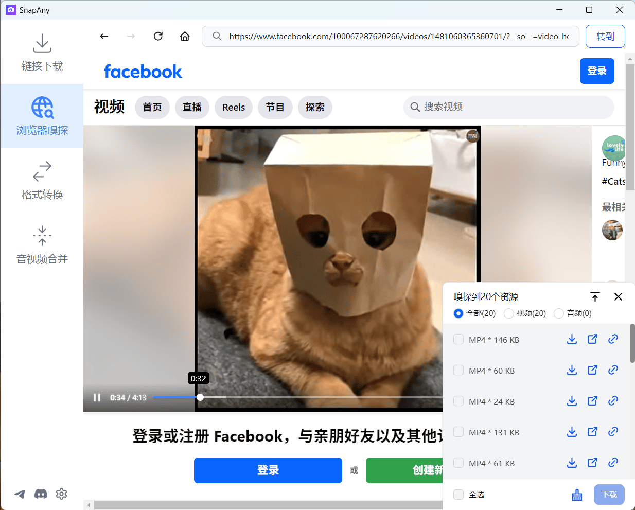 facebook-website-sniff-result
