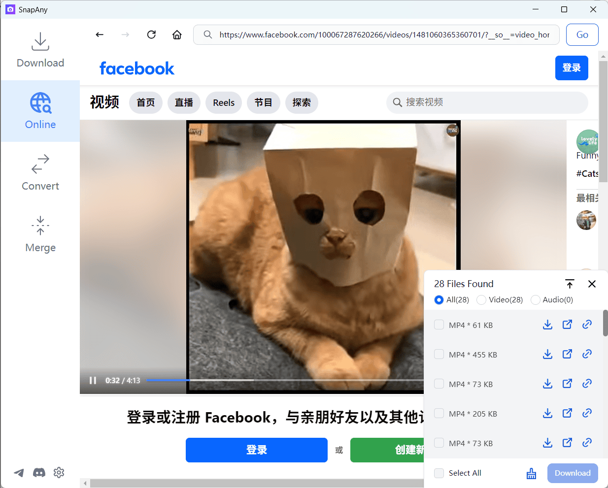 Facebook website sniff result