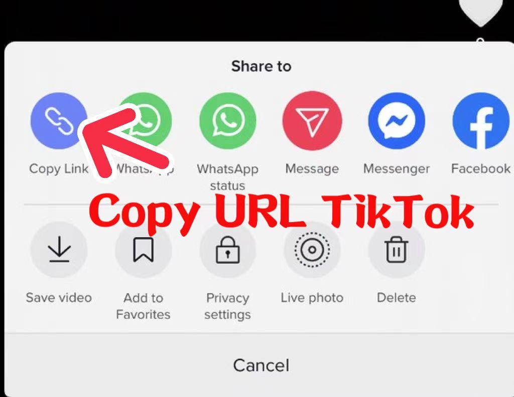 copy tiktok share url