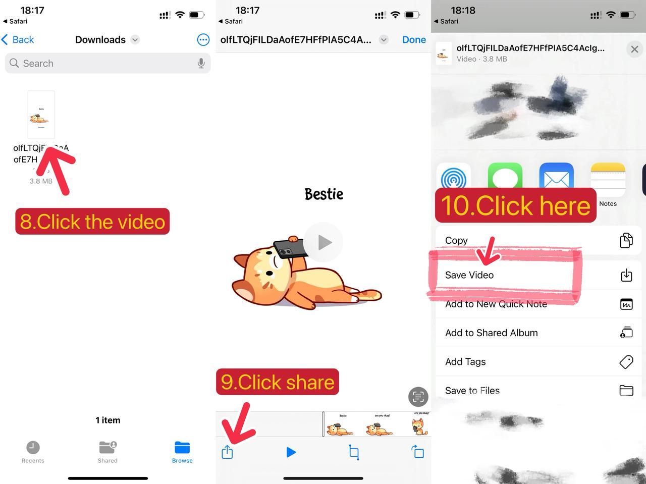 Save Video From SnapAny on iOS
