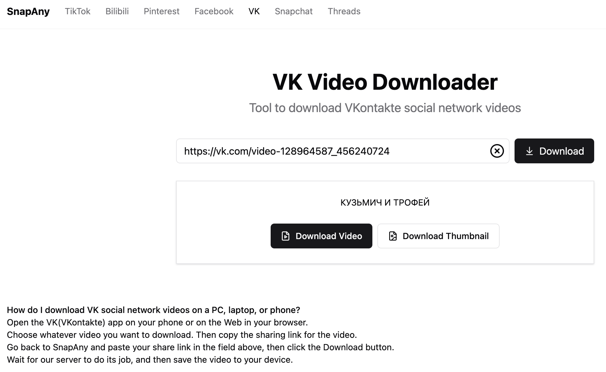 SnapAny VK Video Downloader