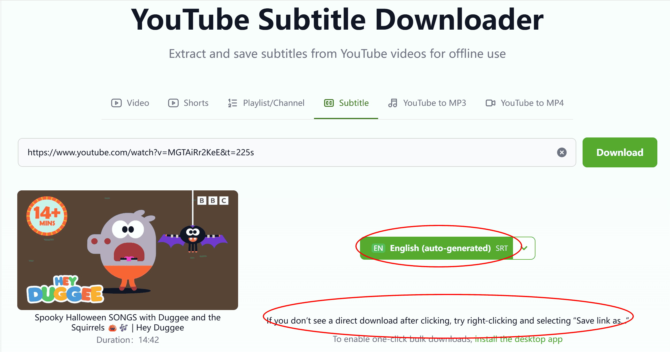 YouTube Subtitle.jpg