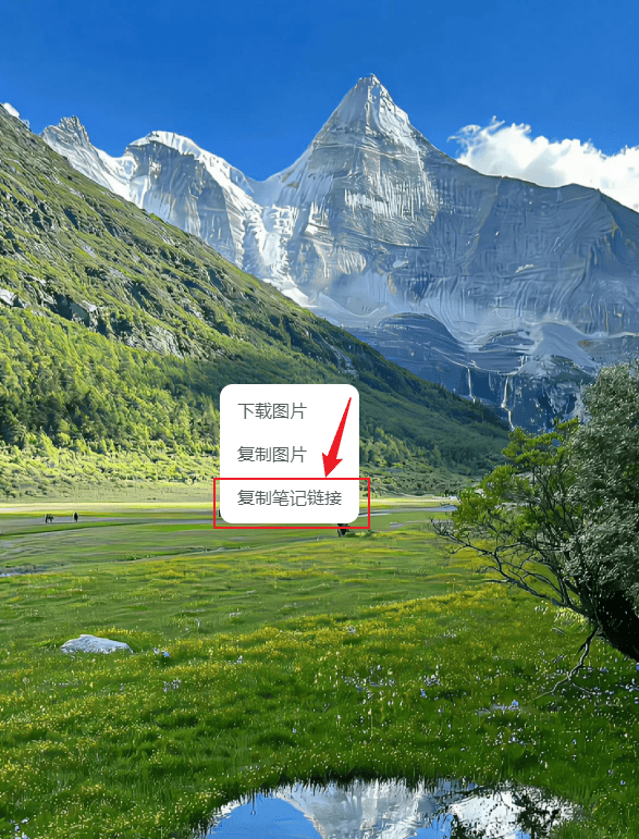 复制小红书链接.png