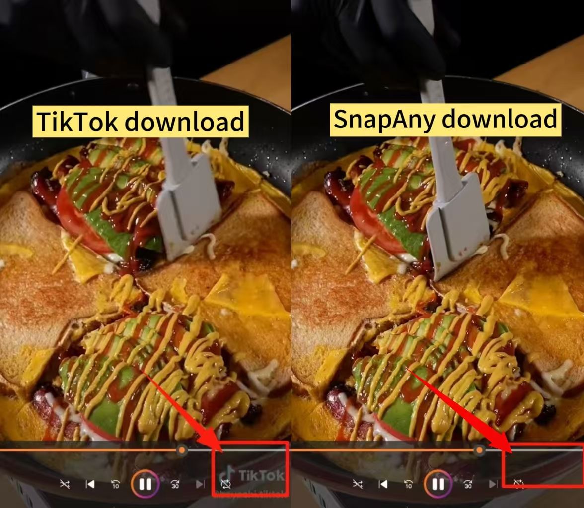 Download video without watermark